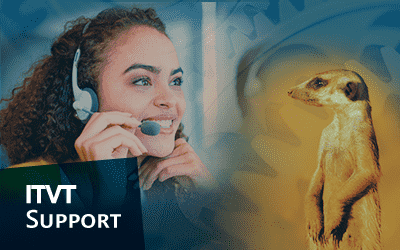 A woman with a headset makes a phone call, accompanied by a meerkat standing nearby.